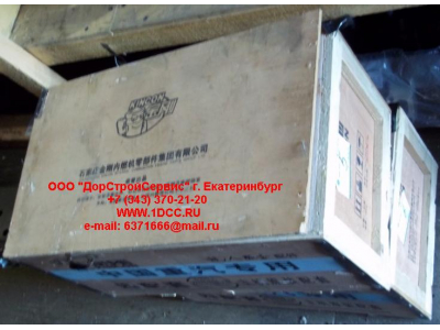 Поршневая группа WD615.87 290л.с. (6 гильз, 6 поршней (0010), 6 пальцев, комплект колец) H2 HOWO (ХОВО) VG2600030010 фото 1 Благовещенск
