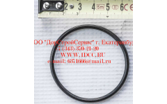 Кольцо уплотнительное ø346х3.5 гидромуфты ГТР CDM 855, 843 фото Благовещенск