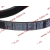Ремень 8PK1160 SH (612600061295) SHAANXI / Shacman (ШАНКСИ / Шакман) 612600061752 фото 2 Благовещенск