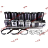 Поршневая группа WD615.95 375л.с. (6 гильз, 6 поршней (...0004), 6 пальцев,комплект колец) H3 BOWEI HOWO (ХОВО)  фото 13 Благовещенск
