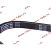 Ремень 8PK1725 DF/C CREATEK CREATEK C3911620/CK8041 фото 2 Благовещенск