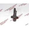 Форсунка 226PBE-6007 Lonking CDM (СДМ) 226PBE-6007 фото 2 Благовещенск
