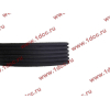 Ремень 6PK1425 A7 CREATEK CREATEK WG1246060008/CK фото 3 Благовещенск