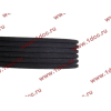 Ремень 6PK1020 кондиционера H3 CREATEK CREATEK WG1500130016/CK8021 фото 3 Благовещенск