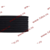 Ремень 8PK1725 DF/C CREATEK CREATEK C3911620/CK8041 фото 3 Благовещенск