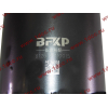 Поршневая группа WD615.95 375л.с. (6 гильз, 6 поршней (...0004), 6 пальцев,комплект колец) H3 BOWEI HOWO (ХОВО)  фото 10 Благовещенск